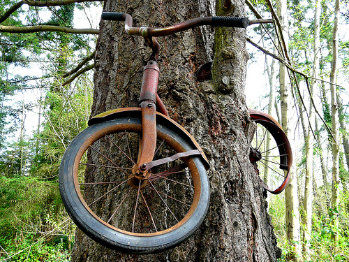 Велосипед в дереве