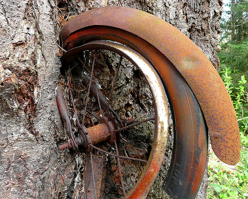 Велосипед в дереве