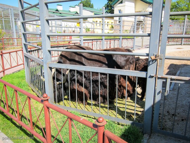 Гродненский зоопарк