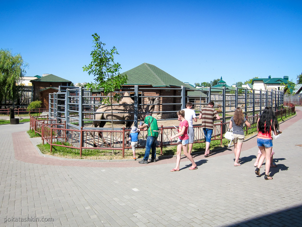 Праздник Летний зоопарк в зоопарке
