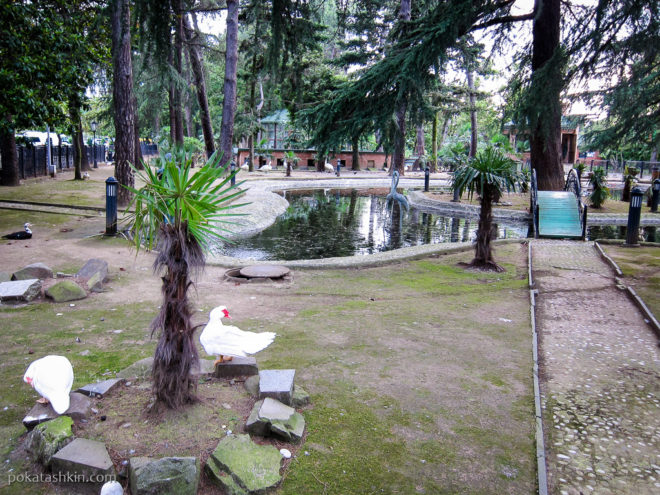 Мини-зоопарк в Батуми