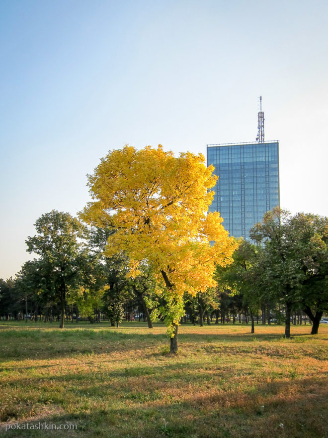 Осень в Белграде