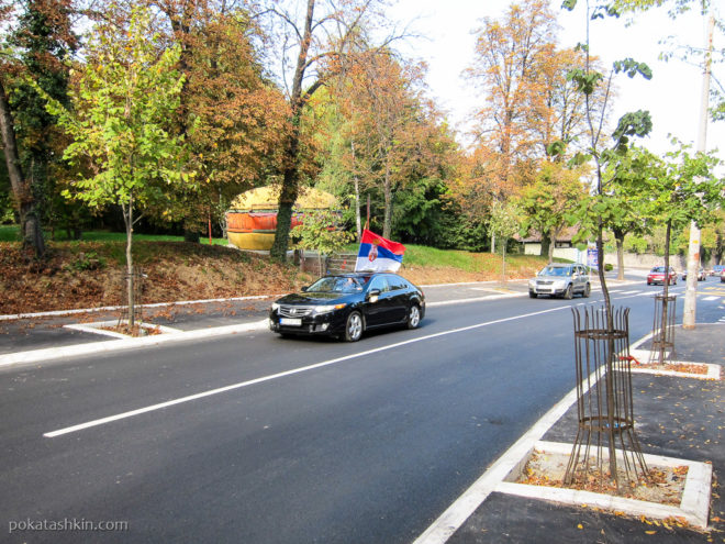 Сербская свадьба с флагом