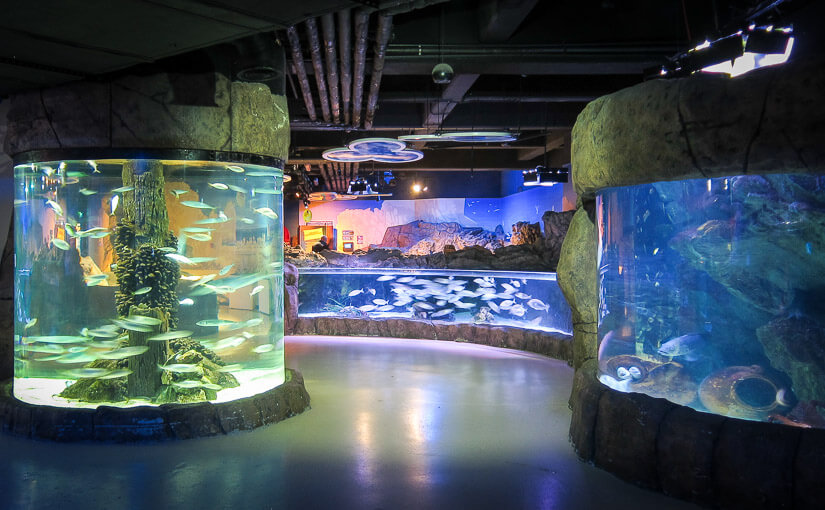 Стамбул. День 4. Аквариум SEA LIFE Istanbul