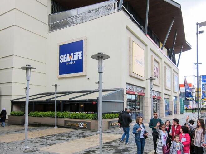 Аквариум SEA LIFE Istanbul