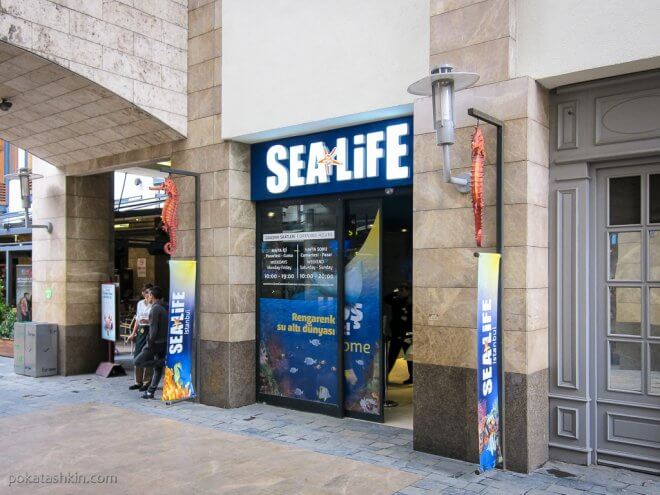 Вход в аквариум SEA LIFE Istanbul