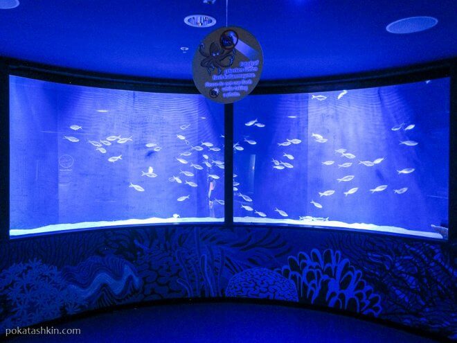 Аквариум SEA LIFE Istanbul