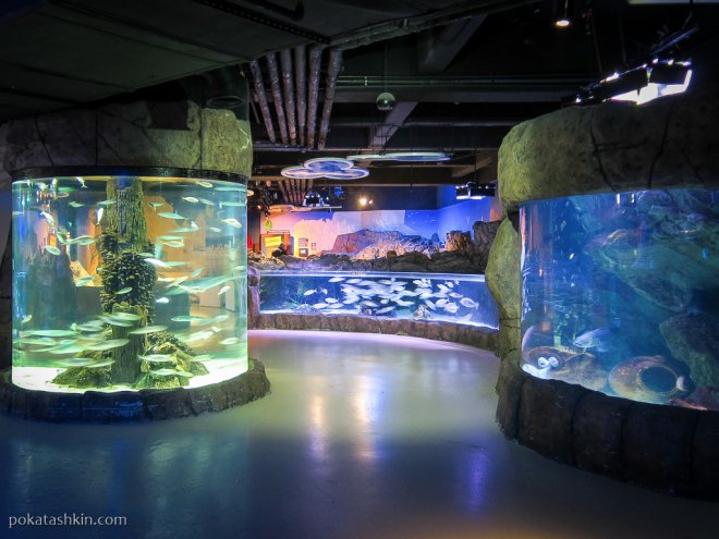 Аквариум SEA LIFE Istanbul