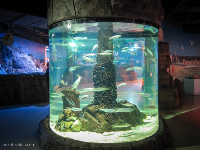 Аквариум SEA LIFE Istanbul