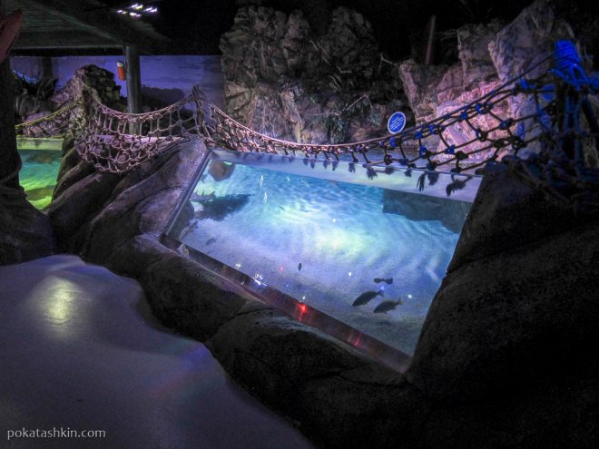Аквариум SEA LIFE Istanbul