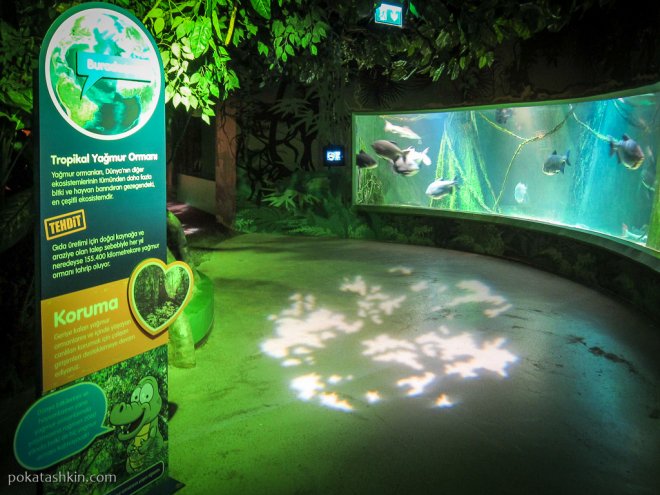 Зона тропических лесов в аквариуме SEA LIFE Istanbul