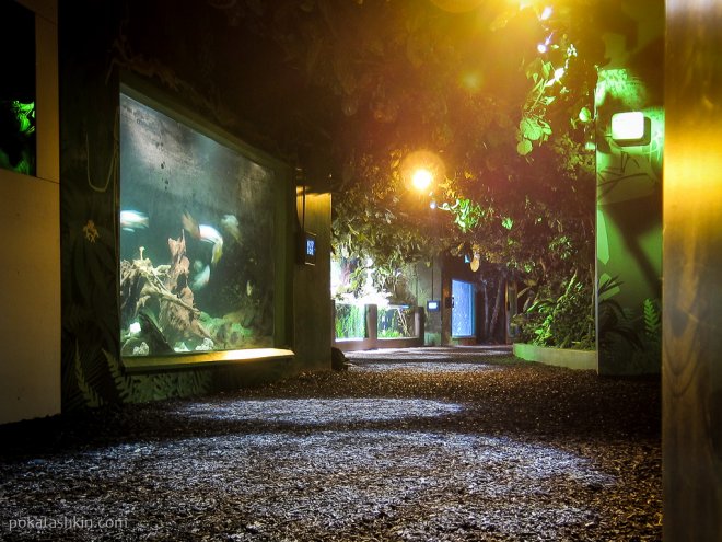 Аквариум SEA LIFE Istanbul