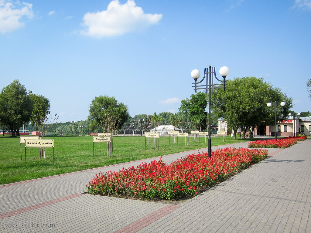 Дружба бузулук. Аллея дружбы Бузулук. Парк дружбы в Бузулуке. Аллейка Бузулук Дружба. Аллея дружбы Новороссийск.