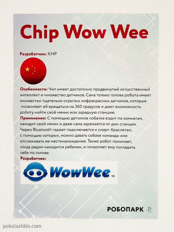 Chip Wow Wee