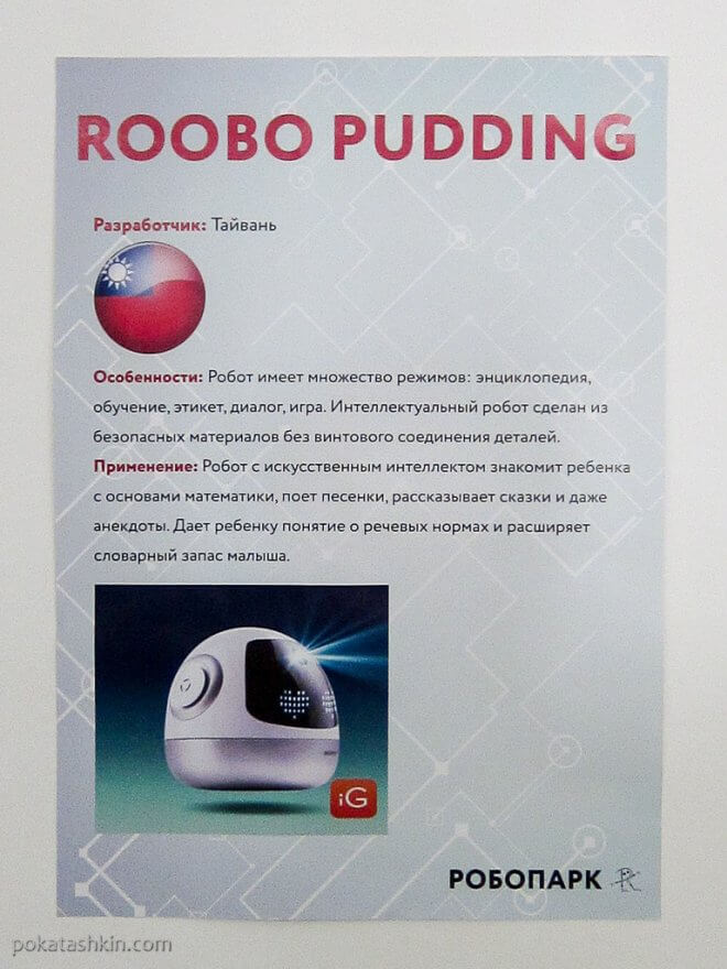 Roobo Pudding