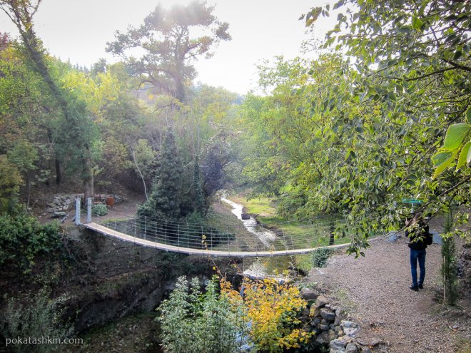 Подвесной мост в ботаническом саду, Тбилиси
